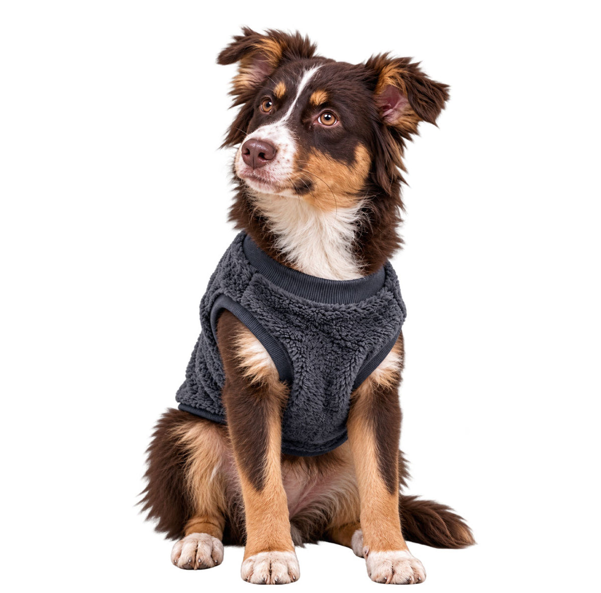 Chaleco térmico premium para perro
