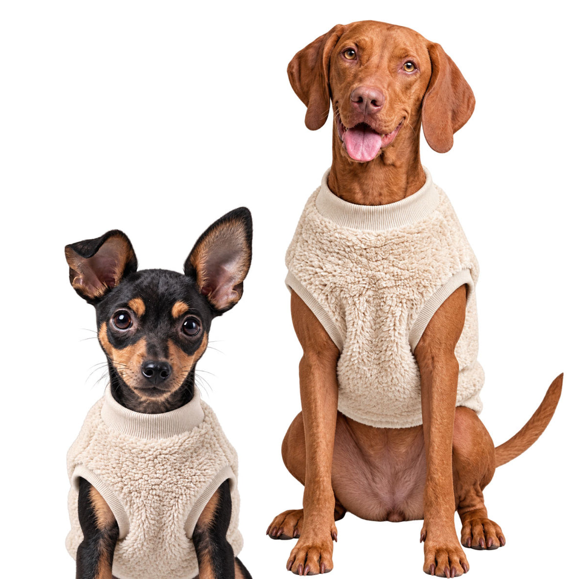 Chaleco térmico premium para perro