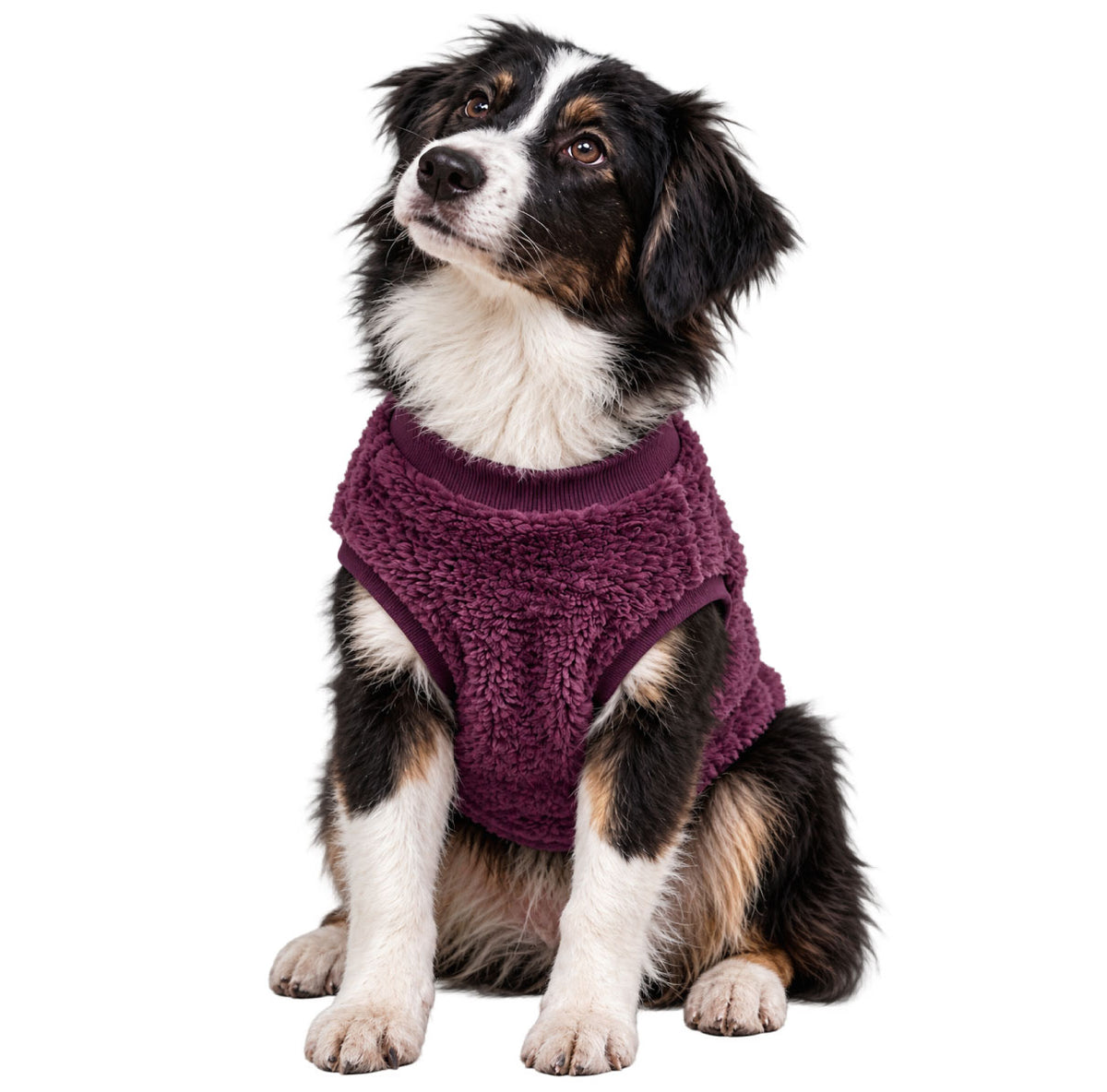 Chaleco térmico premium para perro