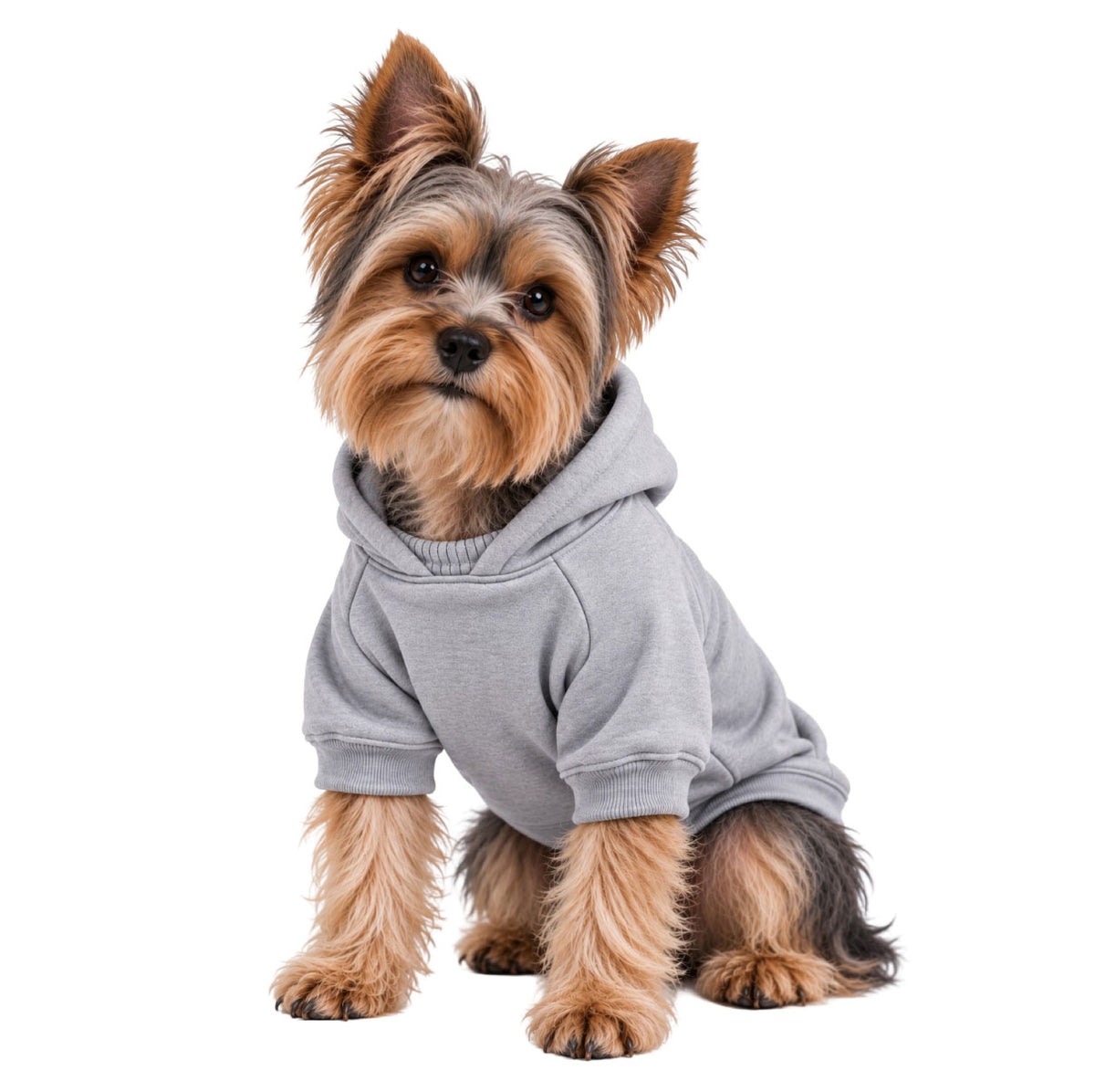 Saco para perros algodón perchado