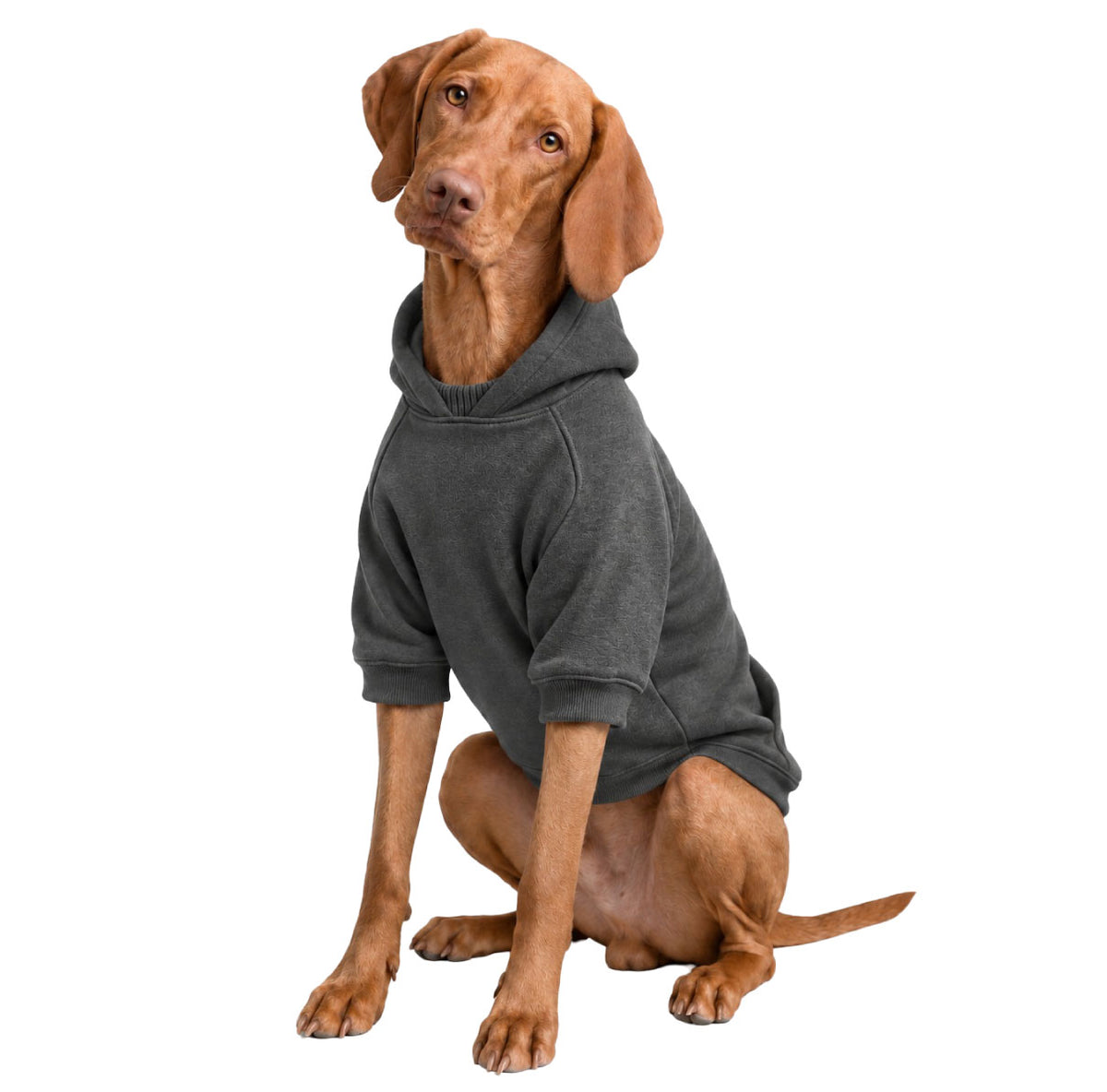 Saco para perros algodón perchado