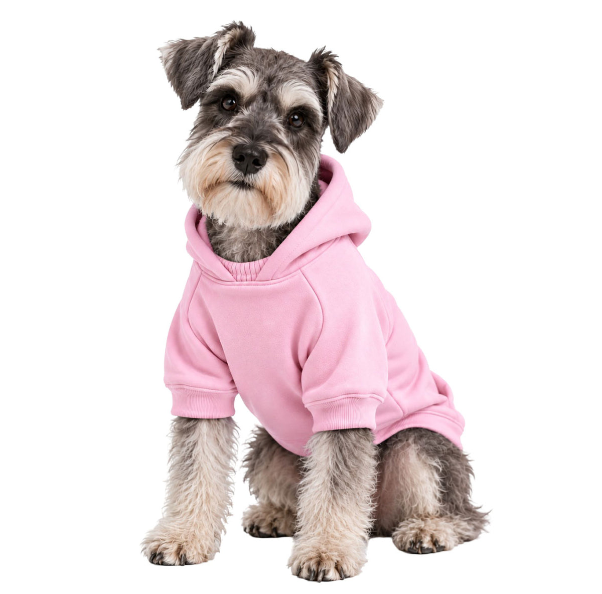 Saco para perros algodón perchado