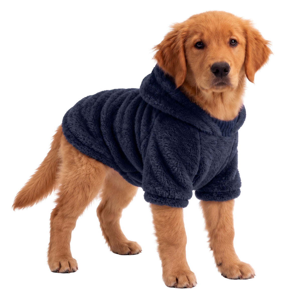 Saco térmico para perros - Grizzly para perros
