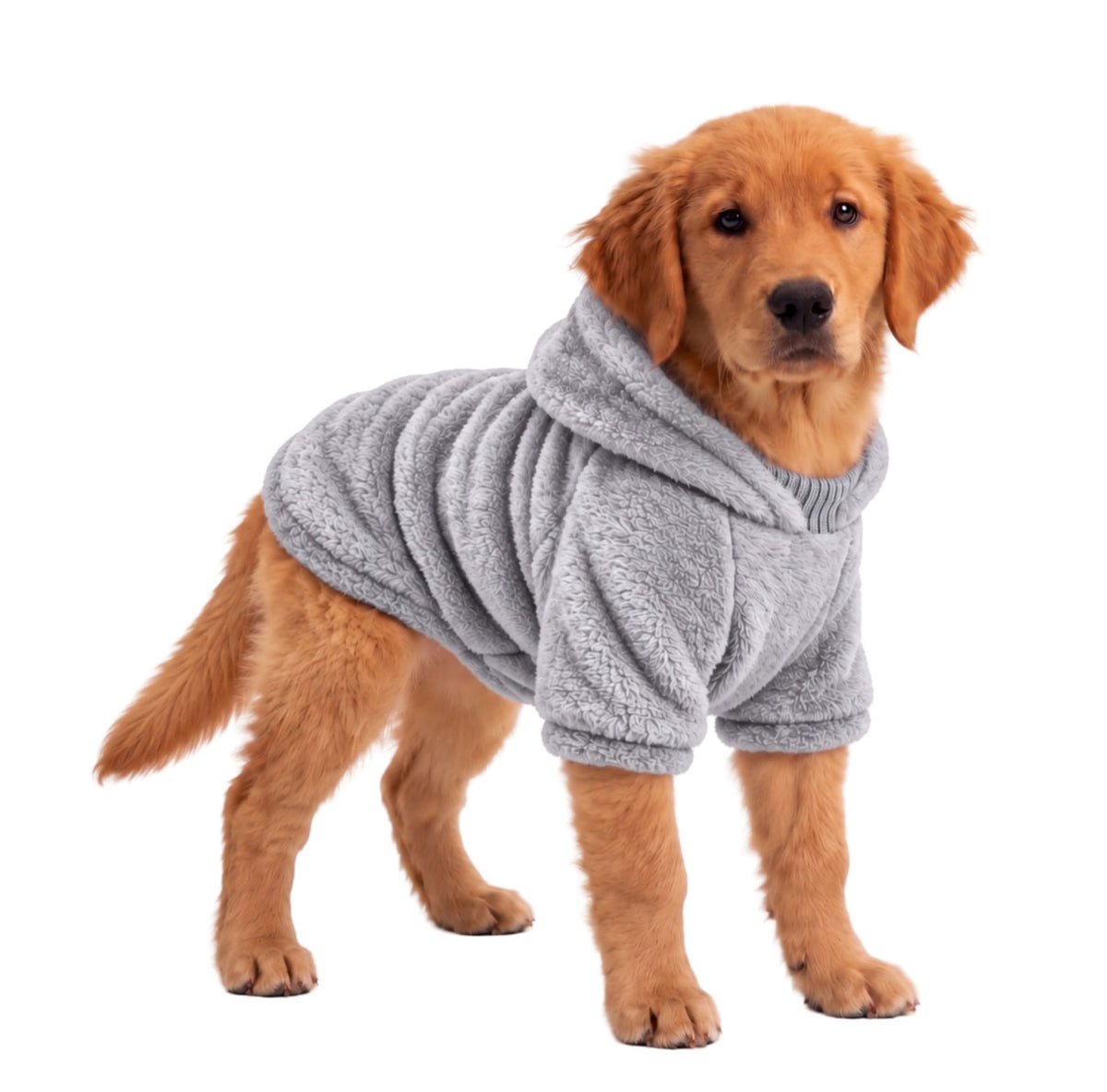 Saco térmico para perros - Grizzly para perros
