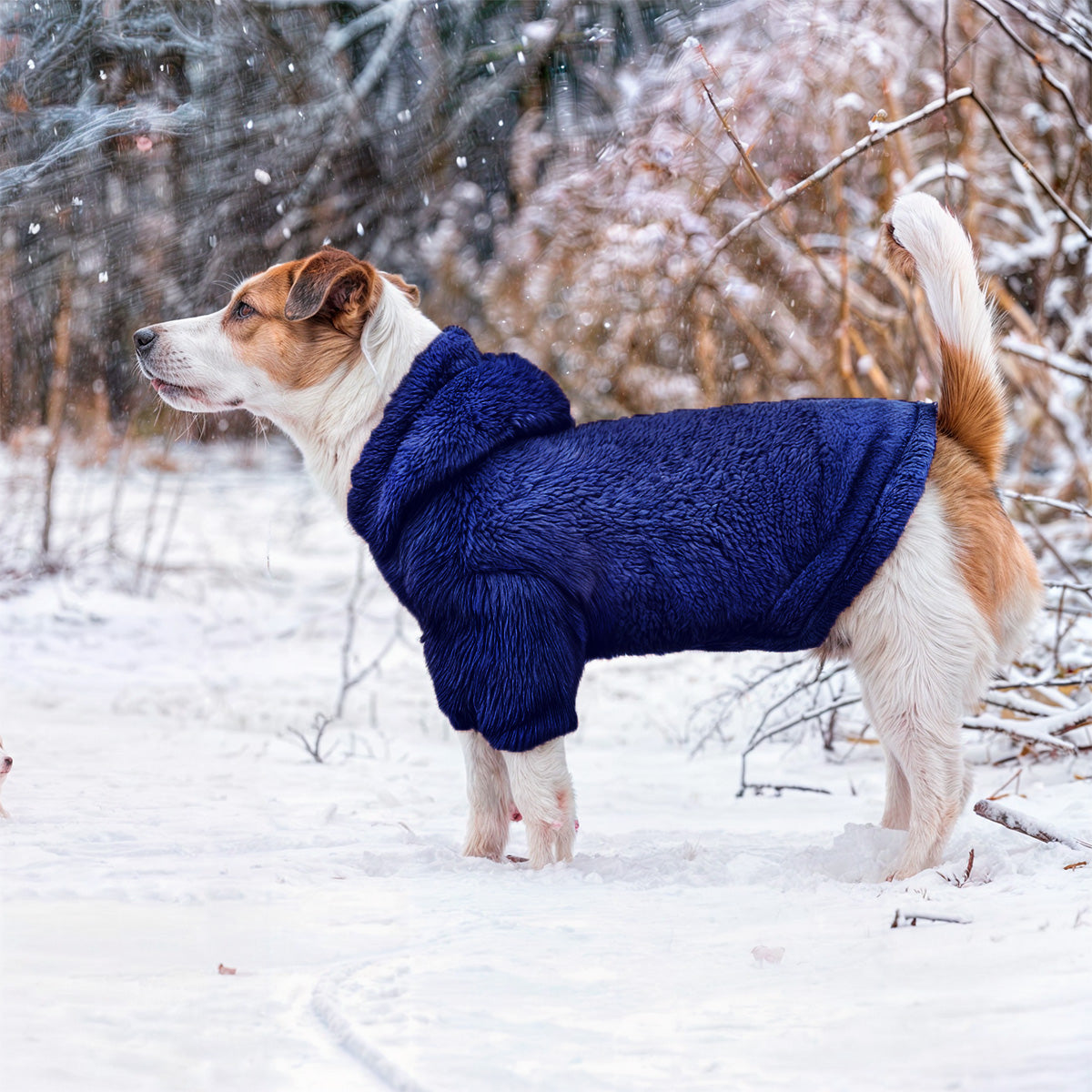 Saco térmico para perros - Grizzly para perros