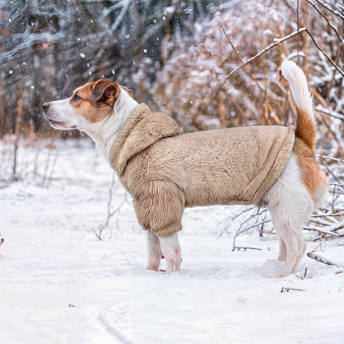 Saco térmico para perros - Grizzly para perros