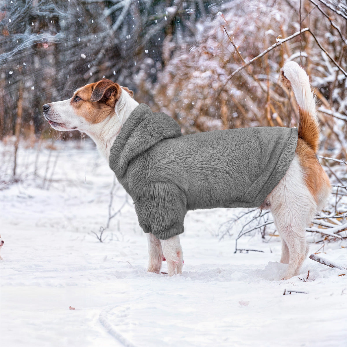 Saco térmico para perros - Grizzly para perros